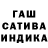 Каннабис индика Zoya Izmaylova