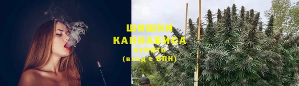 гидра Зеленодольск