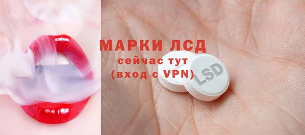 гидра Зеленодольск