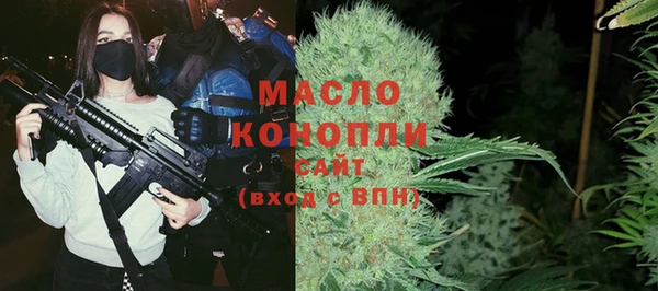 спайс Ельня