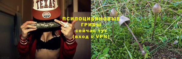 хмурый Елизово