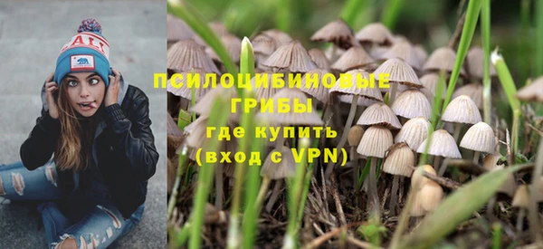 хмурый Елизово