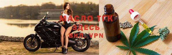 гидра Зеленодольск
